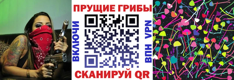 наркота  Поворино  Псилоцибиновые грибы Magic Shrooms 